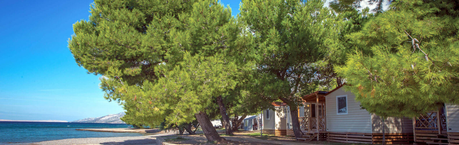 Camping Paklenica - mobile homes